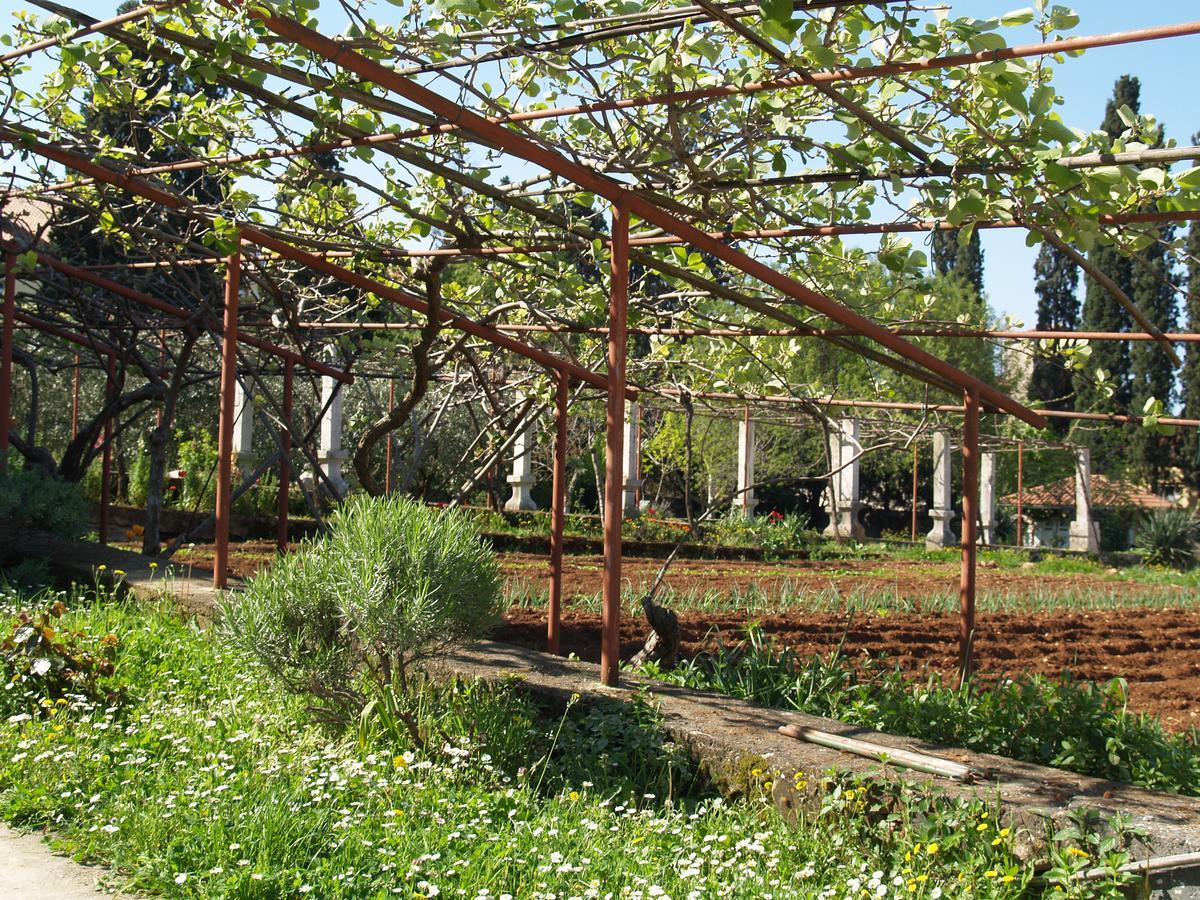 Villa Castrum Rovinj Buitenkant foto